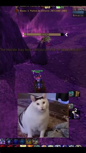Pala vs warrior pvp 3.3.5a #worldofwarcraft #wow335 #wotlk