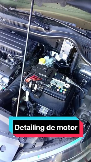 Cómo limpiar tu motor correctamente - Detalles de Motor