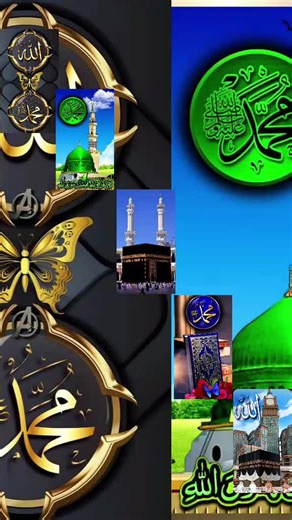 shapshap86 on TikTok