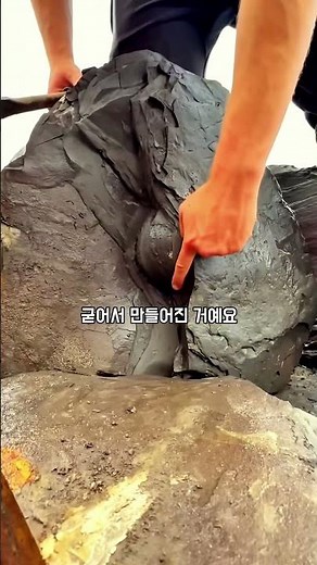 해안가 돌멩이 속 1억 5천만 년 전 타임캡슐? 암모나이트 실물 영접 ㄷㄷ 🐚 #암모나이트 #화석발굴 #노듈 #타임캡슐 #고대생물