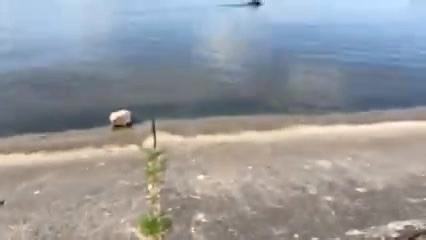 L2 👌 | Monster Fishing Polska