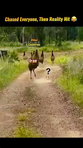 Chased Iraq Chased Libya Chased Venezuela Chased Iran Then Reality Hit 😂💀