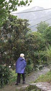 995K views · 33K reactions | Cousin-in-law just started working at a zongzi factory, so consin’s been home alone most days. We invited him over for a meal today. | Rose鄉村 | Facebook