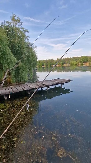 Admir Muminovic on Reels