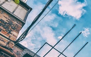 神经组织/结构/3D解剖结构（字幕）