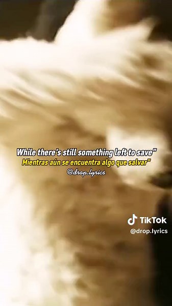 Rise Against Savior Lyrics Video