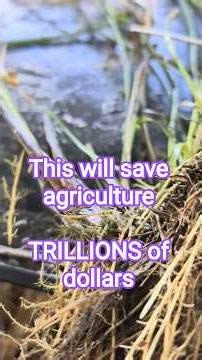 VERUM X SOS © can save agriculture billions and trillionsof Dollars creating Global Food security