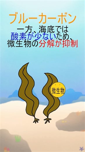 About Blue Carbon - Part 2 [1-Minute Aquarium / Explanation of Marine Life and Fish Ecology] #sho...