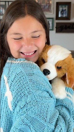 Little Live Pets My Really Real Puppy | Patches The Beagle #kidsshorts #toysforkids #toyreview