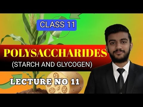 L#11 (POLYSACCHARIDES) | CH #01 BIOLOGICAL MOLECULES | CLASS 11 BIOLOGY