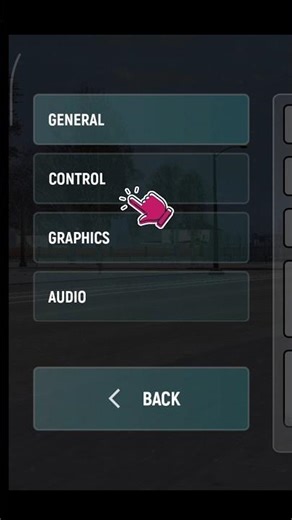 control settings #gta #sanadreas #gtarp