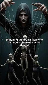 PTSD Explained: Why the Brain Relives Trauma Instead of Remembering