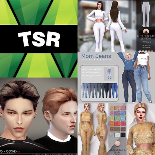 The Sims Resource (TSR)