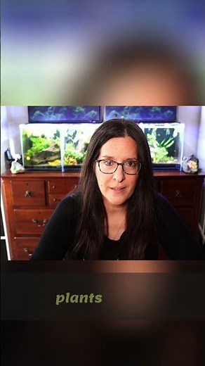 Aquatic Plant Planting: 3 Easy Methods Explained!