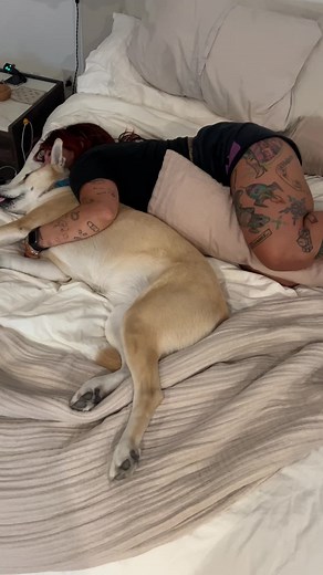 Funny Dog Lover Surprise - Veronica K9 Hilarious Moment