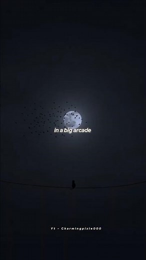 Arcade - Duncan Laurence ( lyrics) slowed reverb ||aesthetic #songlyrics#duncanlaurence#fyp #trend