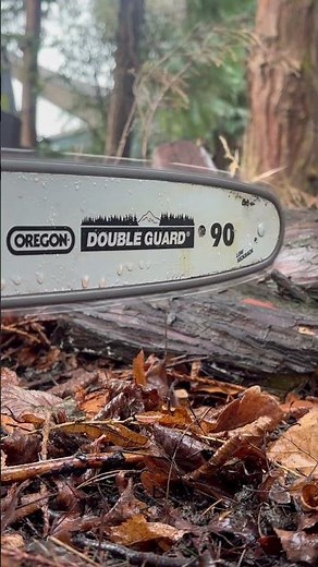 Spinning chainsaw blade! Einhell Power X Change cordless chainsaw with Oregon bar. #powertools