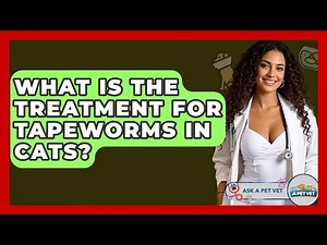 What Is The Treatment For Tapeworms In Cats? - Ask A Pet Vet