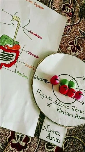 How To Draw Human's Digestive System? #humandigestivesystem #science #drawing