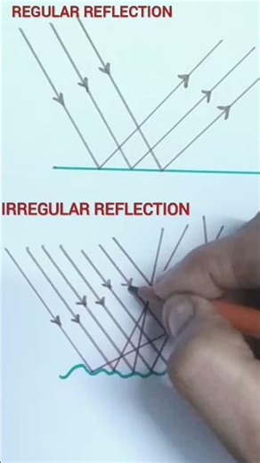Types of reflection in the diagram