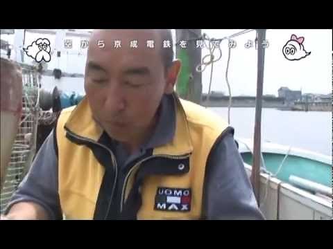 ホンビノス貝の漁とおすすめの食べ方