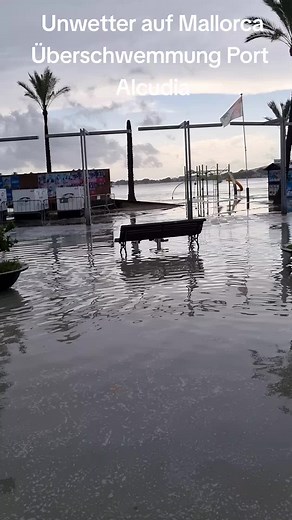 Serkan (@serkan_cologne)’s videos with Originalton - Serkan