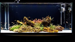 1.6K views · 45 reactions | To achieve optimal plant growth, we...