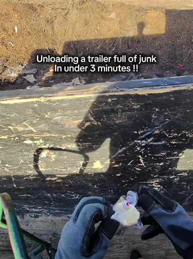 Expert Junk Removal Services in Riverview, FL