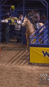 Congratulations to ROUND 7 WINNER in the Team Roping🥇 , CSI Elite Athlete, Dawson Graham! @dawsgraham Dawson rides the 32” Square Cut with the fleece liner. CSI only has ONE booth this year, we are at the South Point Cowboy Christmas, aisle 900 🎄 📸 @cowboychannel #csichamp #csipads #csisaddlepads #saddlepads #handmade #USA #horse #westerntack #tack #cowboy #teamroper #header CSI Saddle Pads are proudly 100% Handmade in the USA 🇺🇸 | CSI Saddlepads