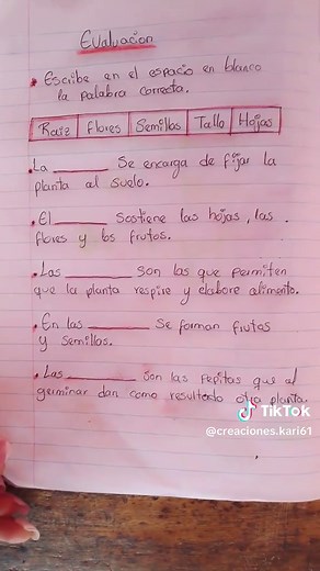 Actividades Creativas para Niños de 4to Grado