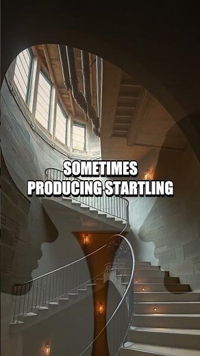 Inside the Brain’s Visual Puzzles