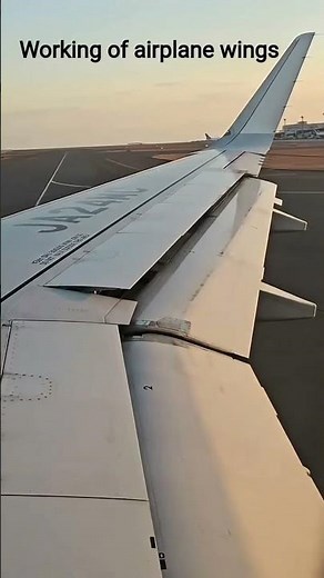 Unveiling the Big Secret of Airplane Wings ✈️ | How Wings Actually Work 😱 #physics #viralvideo