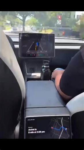 first Tesla robotaxi commercial ride experience shared from David Lee | Jianchun Xu