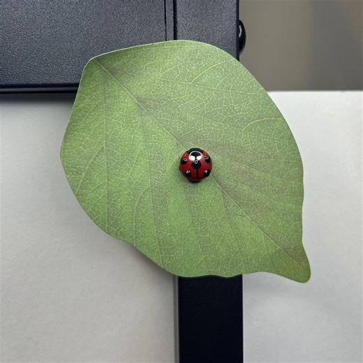 Handmade bumpy ladybug mini magnet  🐞🐞🐞  Inspired by... | Depop