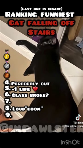 RANKING FUNNIEST CATS FALLING OFF STAIRS #ranking #cutecats #fall #foryou