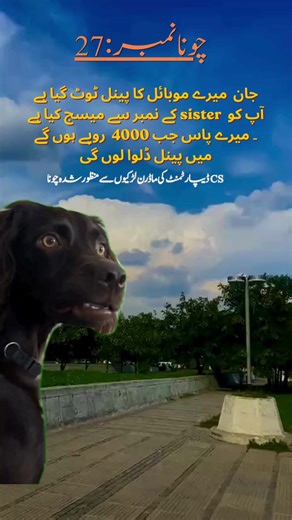 Funny Video: Chona Number 27 Meme