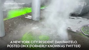 Why Green Slime Was Spotted Oozing from New York City Sewers