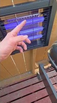 My Friends Couldn't Figure Out Why There Were Zero Bugs At Our Campsite