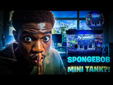 I Built the WORLD’S SMALLEST SpongeBob Fish Tank (Mini Bikini Bottom!)