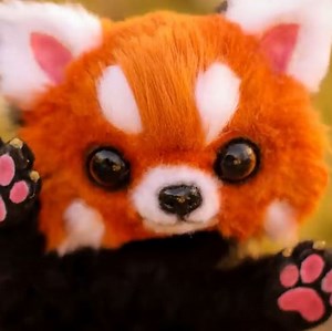 21K views · 77 reactions | Make a Baby Red Panda of Your Own | Lady Panda | Facebook