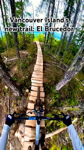 Cumberland’s newest trail is open and it’s a banger! 🔥 #mtb #vancouverisland