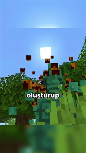 HOW TO PLACE A BLOCK IN THE AIR IN MINECHANINE!?!