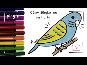 How to DRAW a BIRD (PARAKEET) easy | Step by step