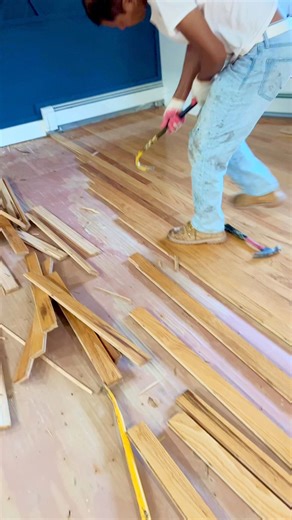 6.2K views · 12 reactions | Repairing hardwood floors typically involves assessing the extent of damage, which may include scratches, gouges, or flooded floor. #WoodFloorRepair #FlooringInspiration #WoodFloorMakeover #SandingTechniques #FloorCare#RestoringWoodFloors #RefreshYourSpace #RenewWithWood #FlooringUpgrade #WoodFloorDesign#SandingProcess #ProfessionalFlooring #LoveYourWoodFloors | Perfect Floor- Hardwood Floor, Sanding, Refinishing, Installation & Repairs | Facebook