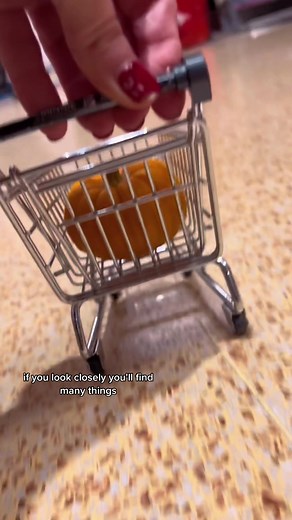 Exploring the Origins of Mini Food