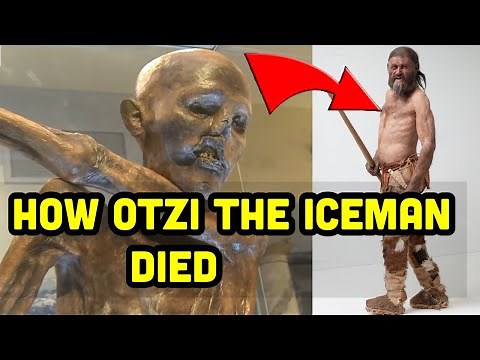 New Evidence On How Otzi The Iceman Died ‪@DNALearningCenter‬
