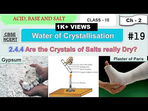 Water of Crystallization | Plaster of Paris | Gypsum | Activity 2.15 | Acid Base and Salt | Class 10