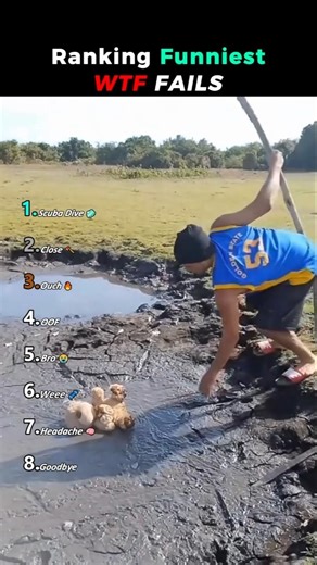 The Funniest WTF Fails! 🤣