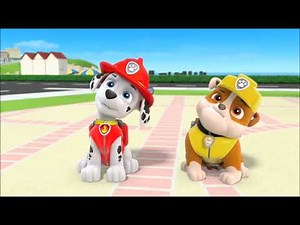 PAW Patrol Super Fan Sunday