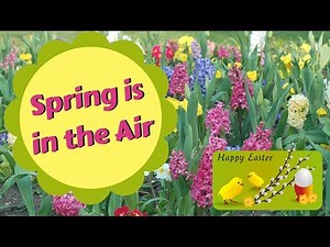 Spring is in the Air - primary school song to teach children about SPRING & EASTER